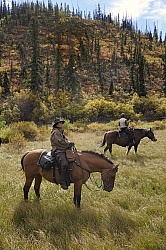 On the Trail - Yukon Pack Trip