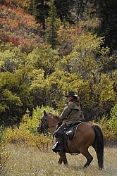 On the Trail - Yukon Pack Trip