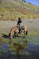 On the Trail - Yukon Pack Trip