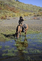 On the Trail - Yukon Pack Trip