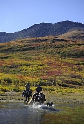 On the Trail - Yukon Pack Trip