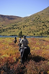 On the Trail - Yukon Pack Trip
