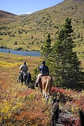 On the Trail - Yukon Pack Trip