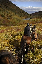 On the Trail - Yukon Pack Trip