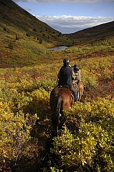 On the Trail - Yukon Pack Trip