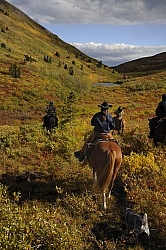 On the Trail - Yukon Pack Trip