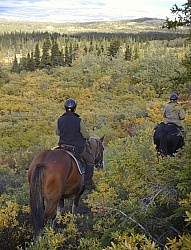 On the Trail - Yukon Pack Trip