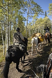 On the Trail - Yukon Pack Trip