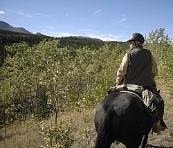 On the Trail - Yukon Pack Trip