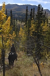 On the Trail - Yukon Pack Trip
