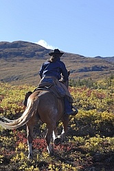 On the Trail - Yukon Pack Trip