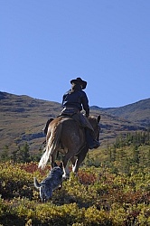 On the Trail - Yukon Pack Trip