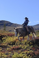On the Trail - Yukon Pack Trip