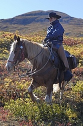 On the Trail - Yukon Pack Trip