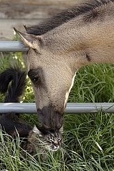 Spring Summer vertical