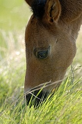 Spring Summer vertical