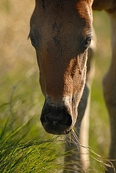 Spring Summer vertical
