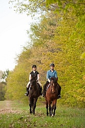 Trail Riding English