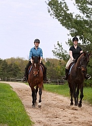 Trail Riding English