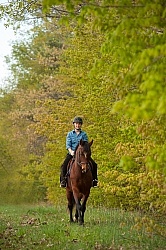 Trail Riding English