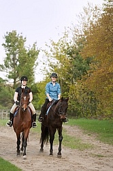 Trail Riding English