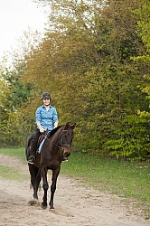 Trail Riding English