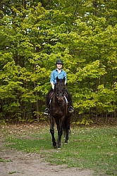 Trail Riding English