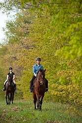 Trail Riding English