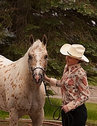 Appaloosa Showing Halter