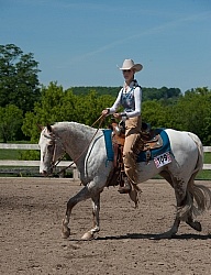 Appaloosa Showing