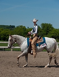Appaloosa Showing