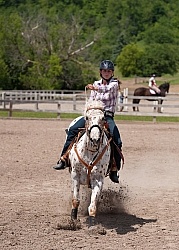 Appaloosa Pole Bending
