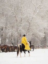 Winter Cowboys