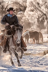 Winter Cowboys