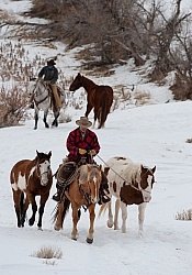 Winter Cowboys