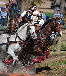  Driving Marathon WEG 2010