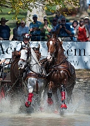  Driving Marathon WEG 2010