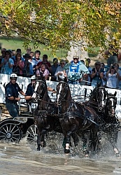  Driving Marathon WEG 2010