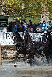  Driving Marathon WEG 2010