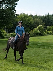 Canadian Under Saddle