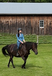 Canadian Under Saddle