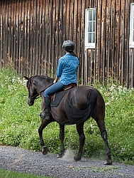Canadian Under Saddle