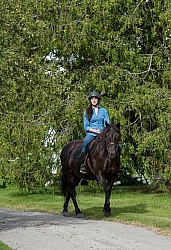 Canadian Under Saddle