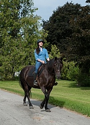 Canadian Under Saddle