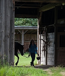 Leading Tacked Canadian