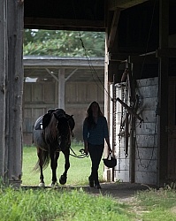 Leading Tacked Canadian
