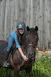 Canadian Horse with Young Girl