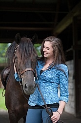 Canadian Horse with Young Girl