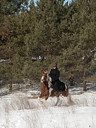 Winter Riding