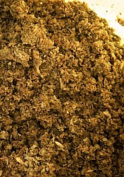  Senior Feed Beet Pulp